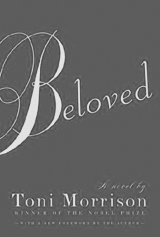 Beloved Book Cover